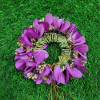  Orchid Bridal Veni