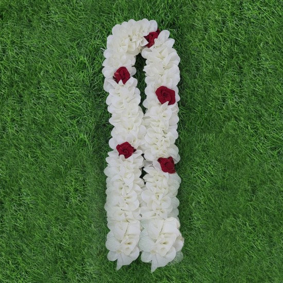 Pichi Plain Pichi Plain