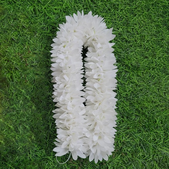 Pichi Plain Pichi Plain