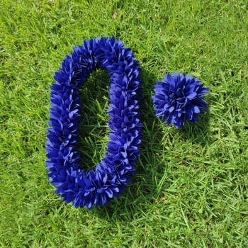 Pichi Poo with Matching Band | Simple & Classic