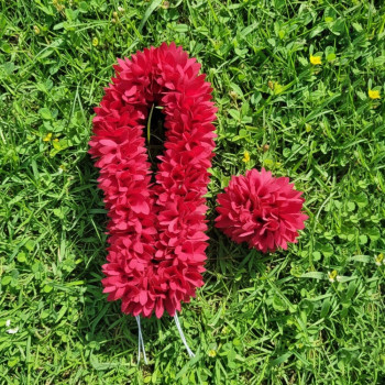 Pichi Poo with Matching Band | Perfect for Weddings