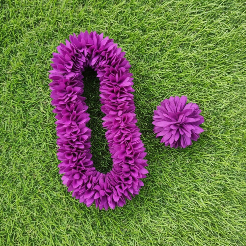 Pichi Poo with Matching Band | Calm & Simple