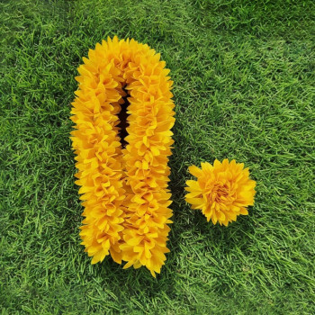 Pichi Poo with Matching Band | Soft & Sweet
