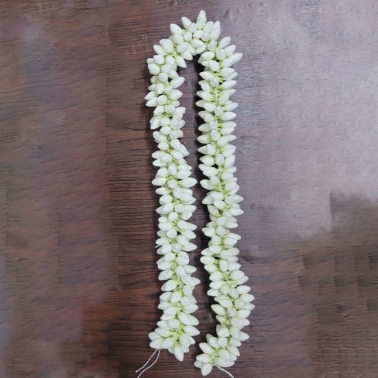 Thai Jasmine  Flower