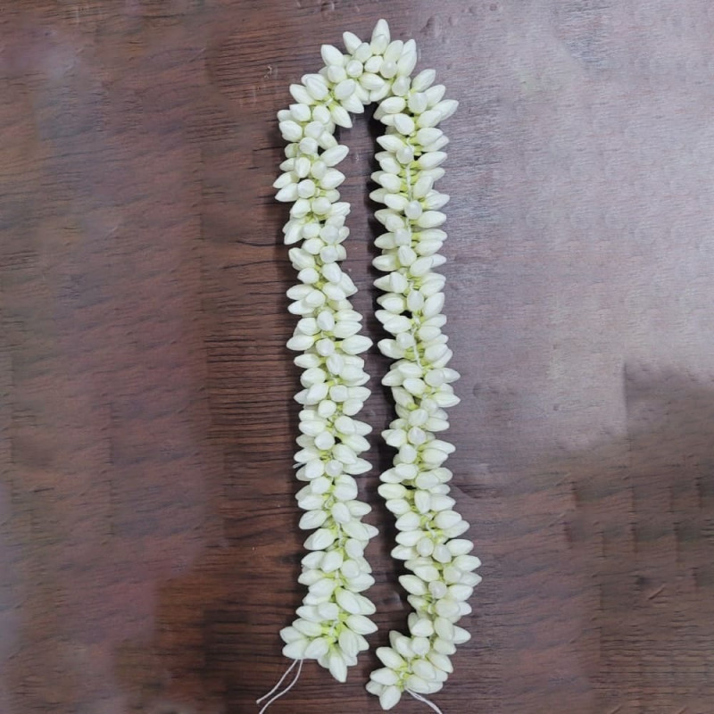 Thai Jasmine  Flower