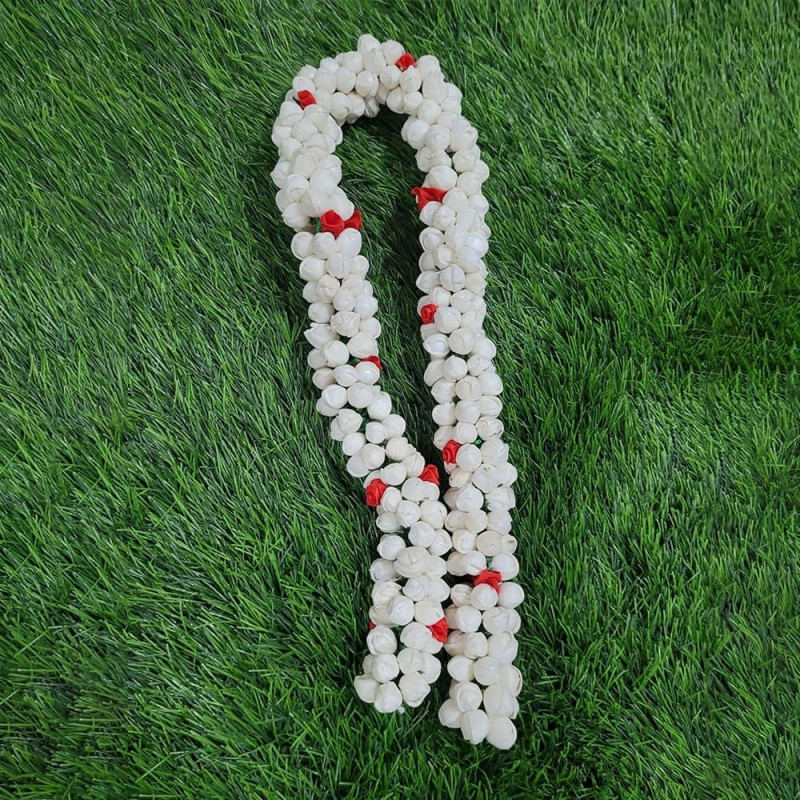 Thai Jasmine  Flower