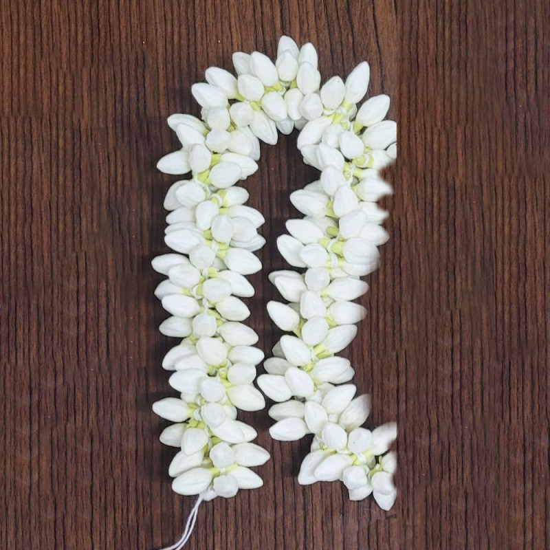 Thai Jasmine  Flower 