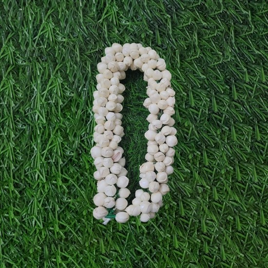  Thai Jasmine Flower