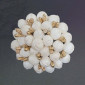 Thai Jasmine Band