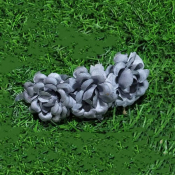 Medium Size Hair Clips 