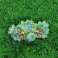 Medium Size Hair Clips
