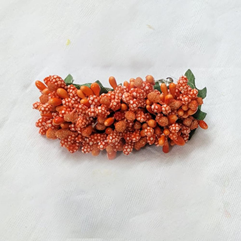 Medium Size Hair Clips 