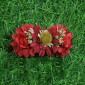 Medium Size Hair Clips