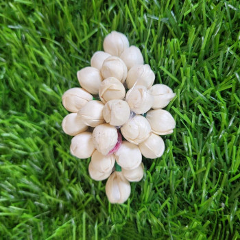 Medium Size Hair Clips White | Clean and Fresh