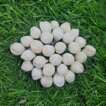 Medium Size Hair Clips 