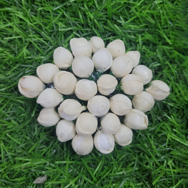 Medium Size Hair Clips 