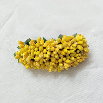 Medium Size Hair Clips 