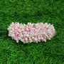 Hair Clip