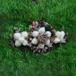 Hair Clip 