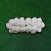 Jasmine Medium Size Clip 