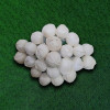 Jasmine Medium Size Clip 