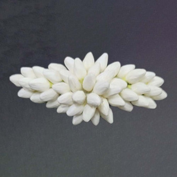 Thai Jasmine Clips 